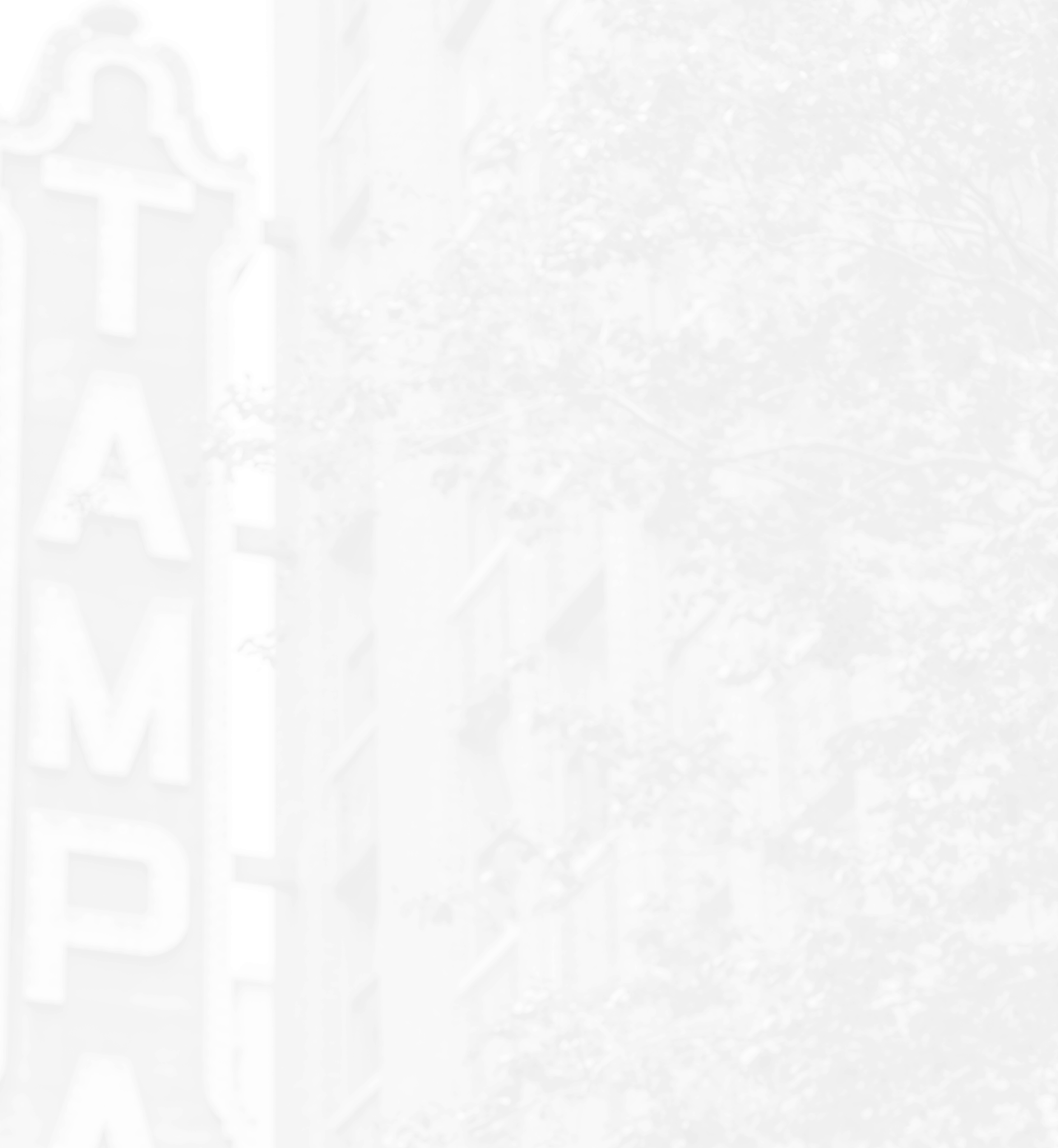 background black and white photo of Tampa