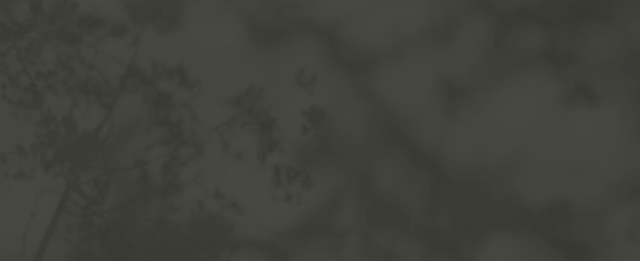 Banner video