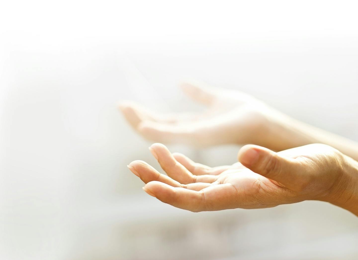 Middle aged woman's open hands