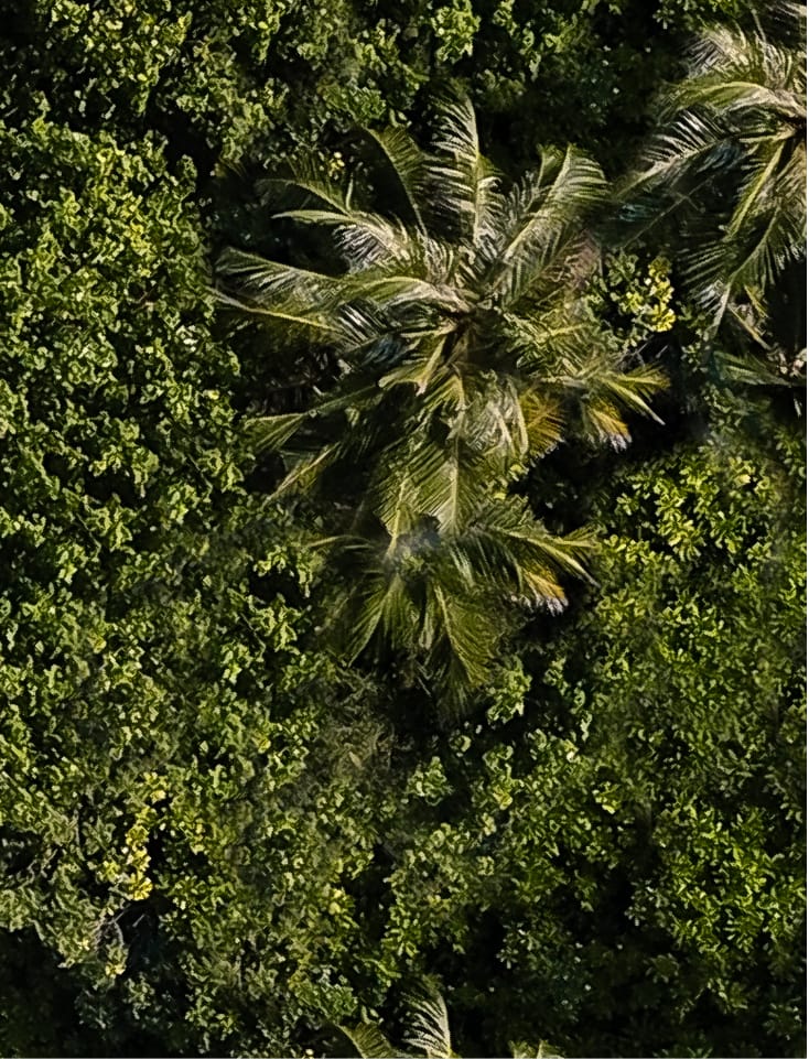 PDO Thread Lift Tijuana PDO Thread Lifts in Tijuana, Mexico