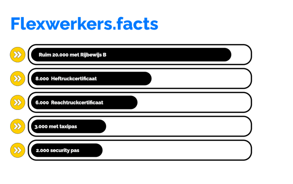 Flexwerkens met uiteenlopende vaardigheden en skills