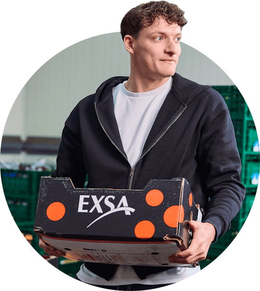 Header van logistiekmedewerker met doos in hand