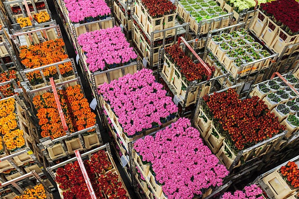 Bloemen personeel