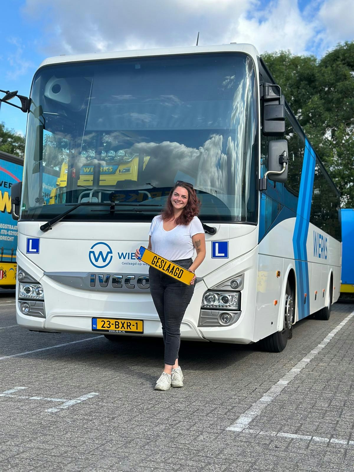 Buschauffeur voor de bus