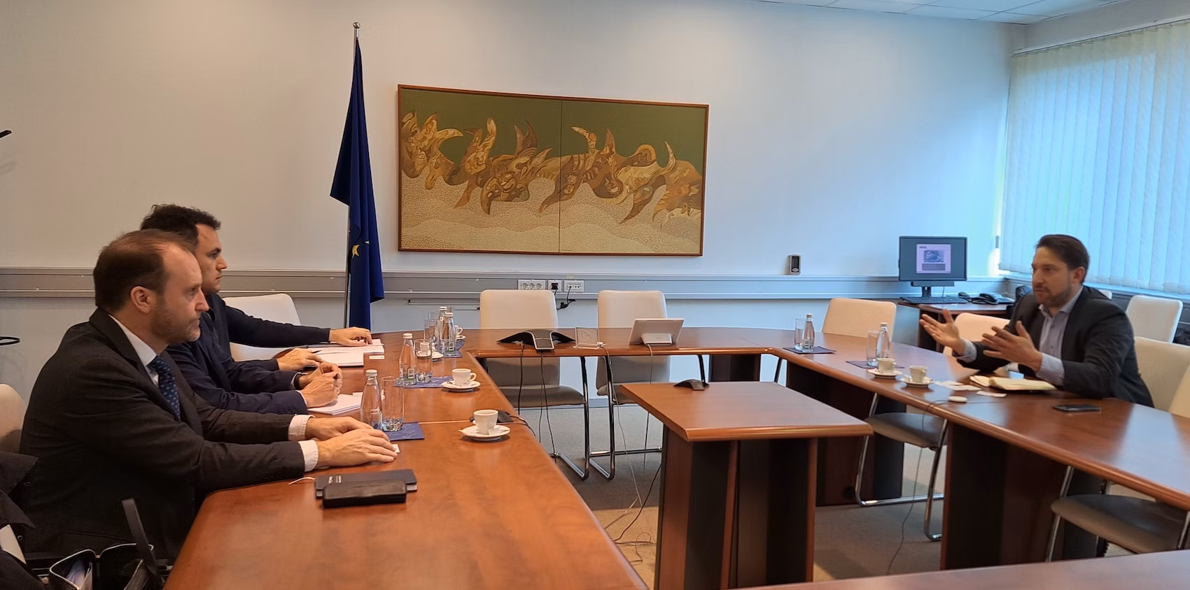 Team Meeting with Joeri Maas, Head of Executive Office, EU Special Representative in Bosnia and Herzegovina