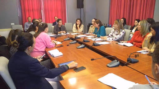 Meeting between the UNOPS Senior Advisor on EU Negotiations/Horizontal Support and the beneficiary