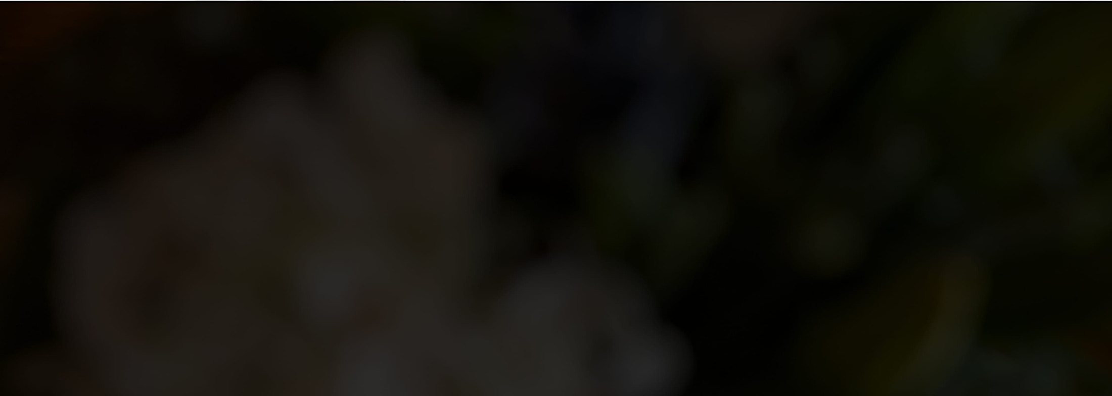 Banner media