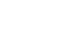 The Aesthetic Society logo