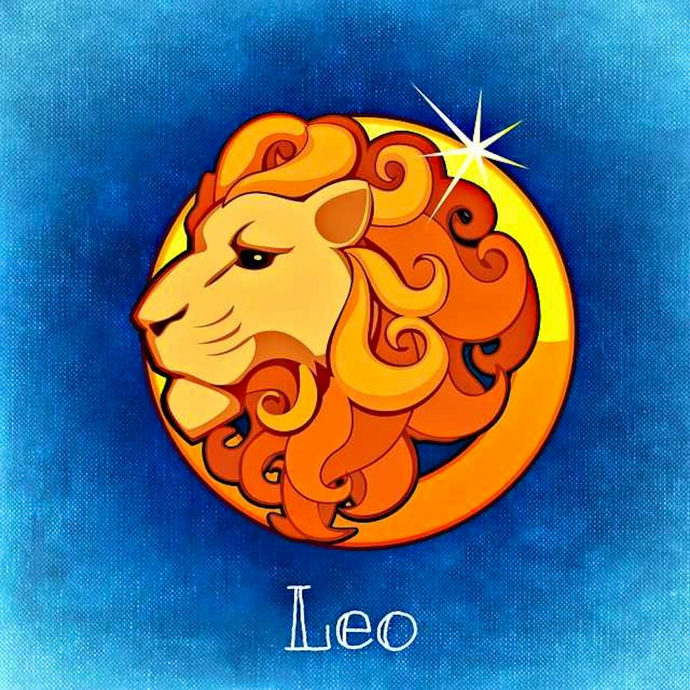 Leo Career Horoscope Good Careers for Leos