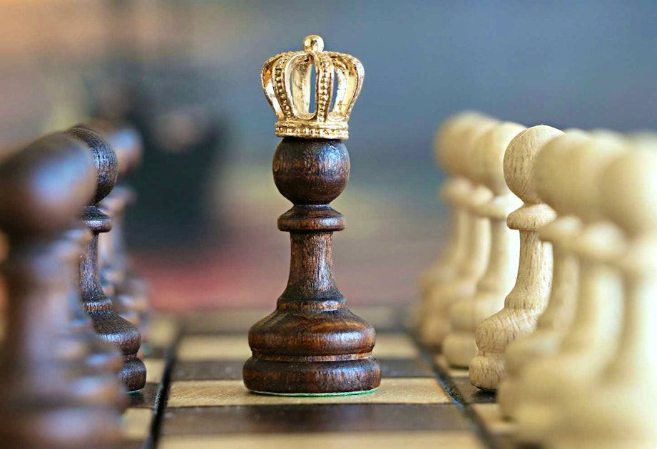 ▷ How to Use A Chess Database To Improve?