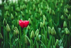 How to Answer the Interview Question: “What Makes You Unique?”