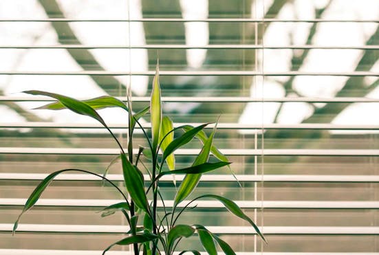 The Best Smart Blinds