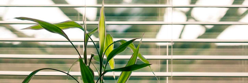 The 7 Best Smart Blinds In 2020 Ikea Fyrtur Somfy Lutron