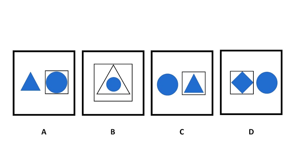 Nyc Gifted And Talented Test A Guide
