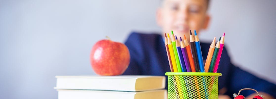 The STAAR Tests (2025 Guide)