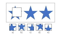The Naglieri Nonverbal Ability Test (NNAT)