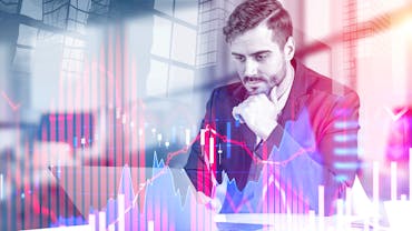 10 Best Websites for Beginners to Learn Forex Trading (2025)