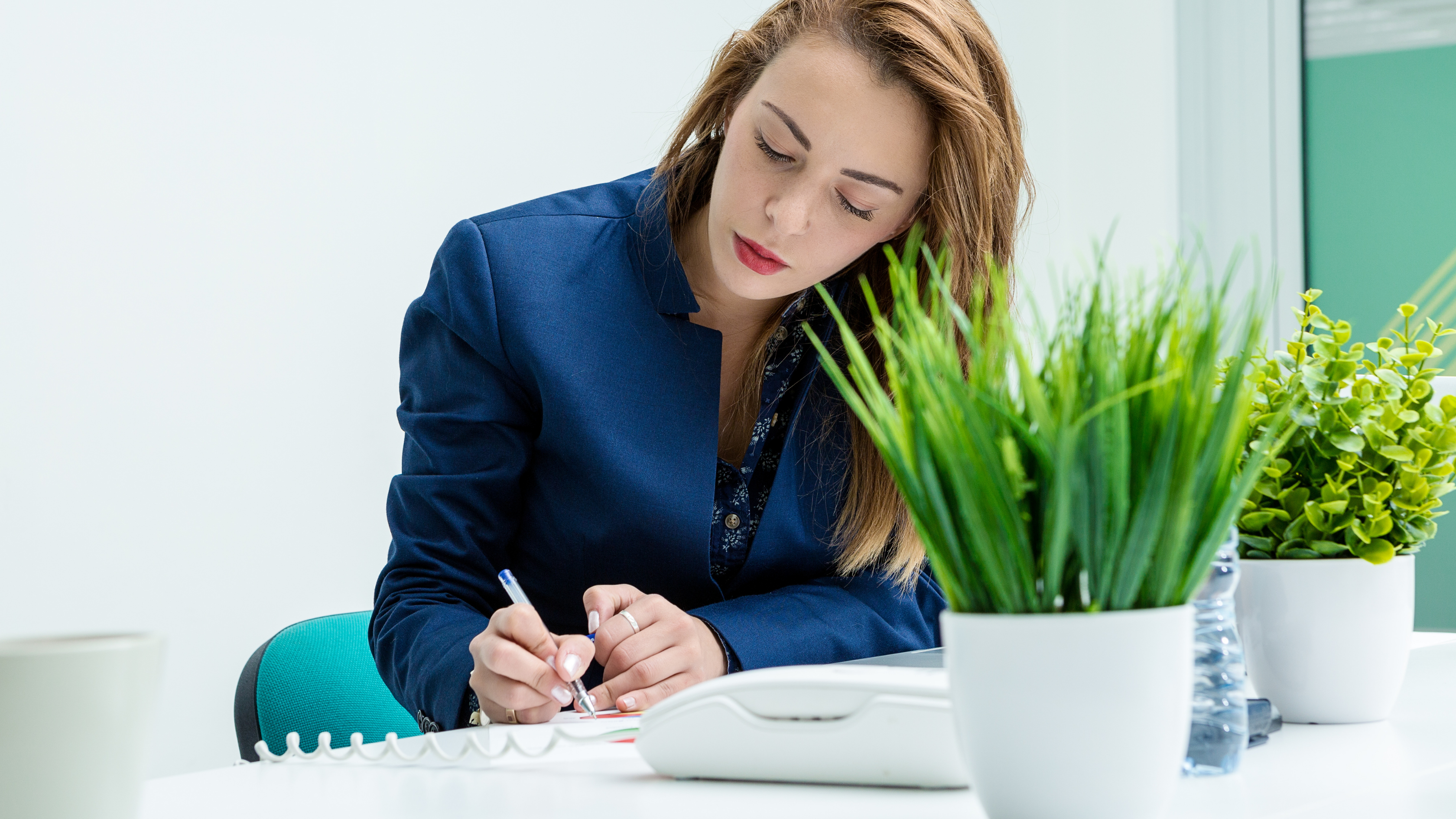 Diagrammatic Reasoning