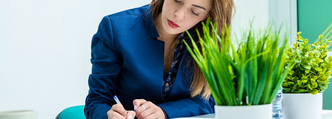 Diagrammatic Reasoning