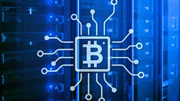 What Is a Bitcoin Fork?