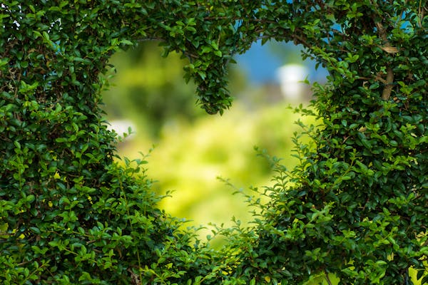 How to Find Green Jobs