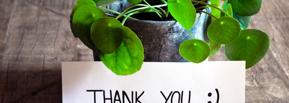 How to Write Thank-You Messages