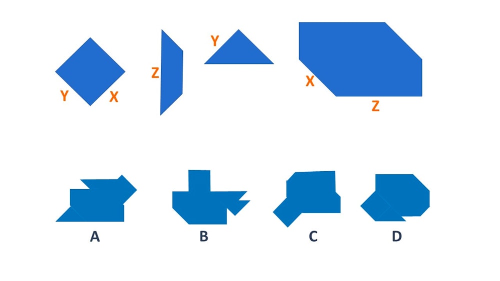 What Are Cognitive Ability Tests? 