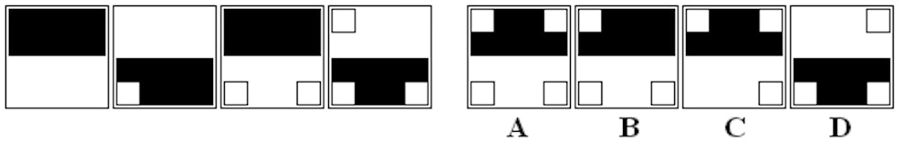 Abstract/Diagrammatic Reasoning Tests