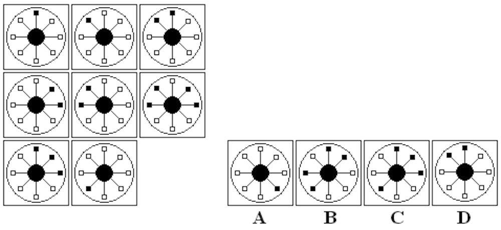 Abstract/Diagrammatic Reasoning Tests