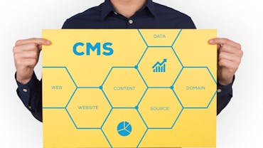 The Best Content Management Systems