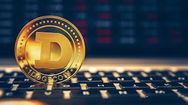 Dogecoin: The Essentials to Dabble in Doge (2023 Guide)
