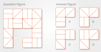 Diagrammatic Reasoning