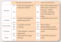 In-Tray Exercise: Weekly Diary Details