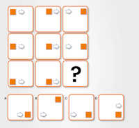 Non-Verbal Reasoning