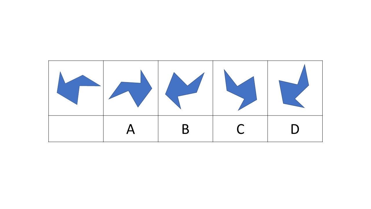 The Air Force Officer Qualifying Test