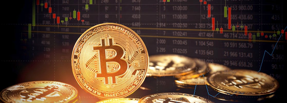 Profit Revolution Review (2025)