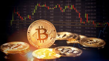 Profit Revolution Review (2025)