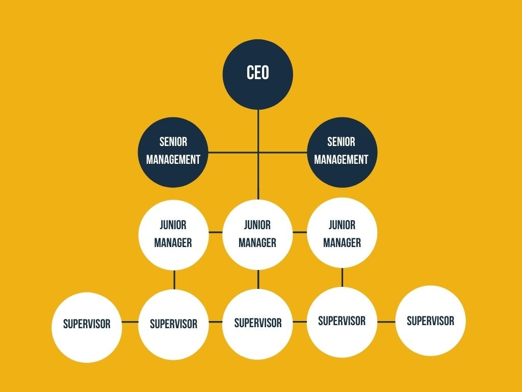 hierarchical structure definition and examples