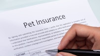 How to Choose the Right Pet Insurance