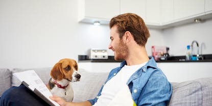 Best Dog Health Insurance Companies