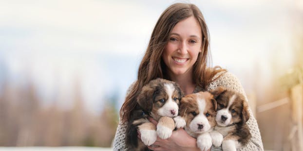 Best Puppy Health Insurance Companies