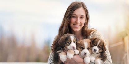 Best Puppy Health Insurance Companies