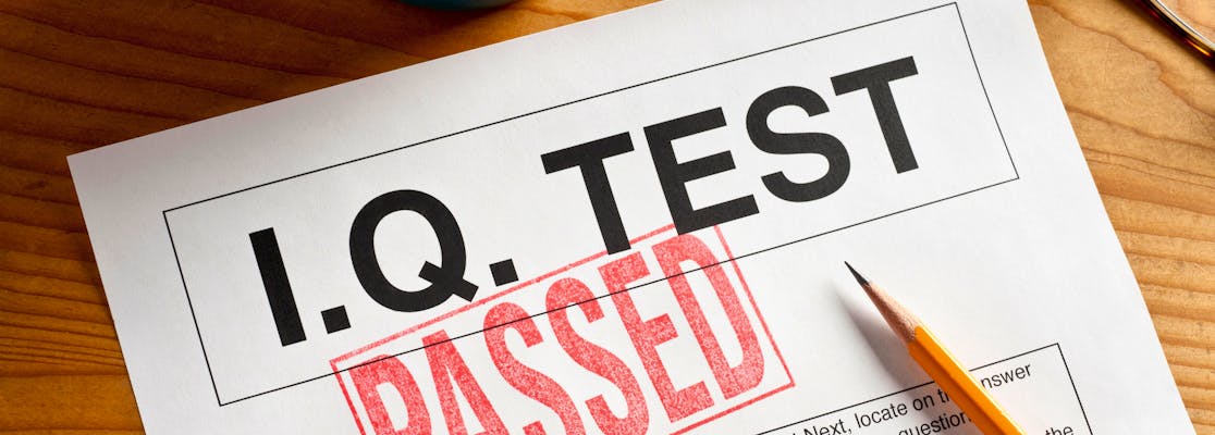 The Wechsler IQ Test (2025 Guide)