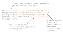 How to Write a Graduate CV