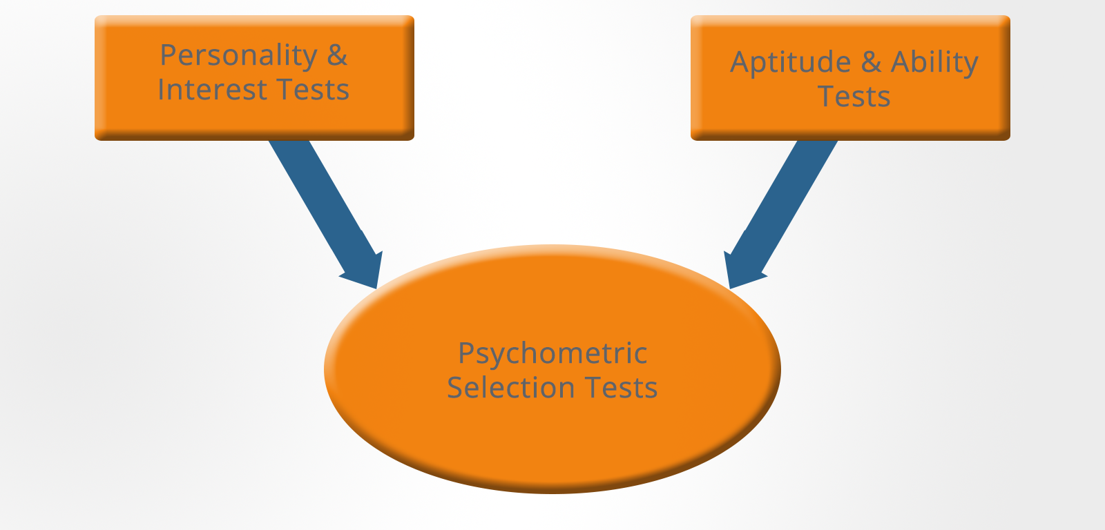 What are psychometric tests