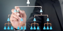 Functional Organizational Structure: Everything You Need to Know