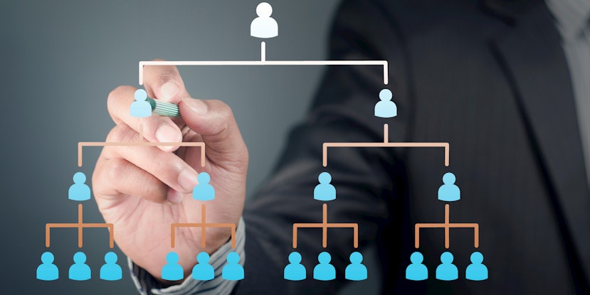 Functional Organizational Structure: Everything You Need to Know