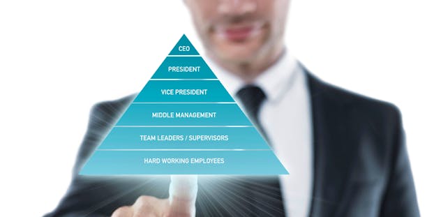 Functional Organizational Structure
