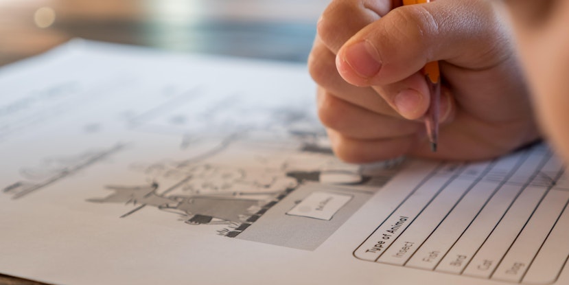The CCAT Test Grade 6: CCAT Level 12 Test