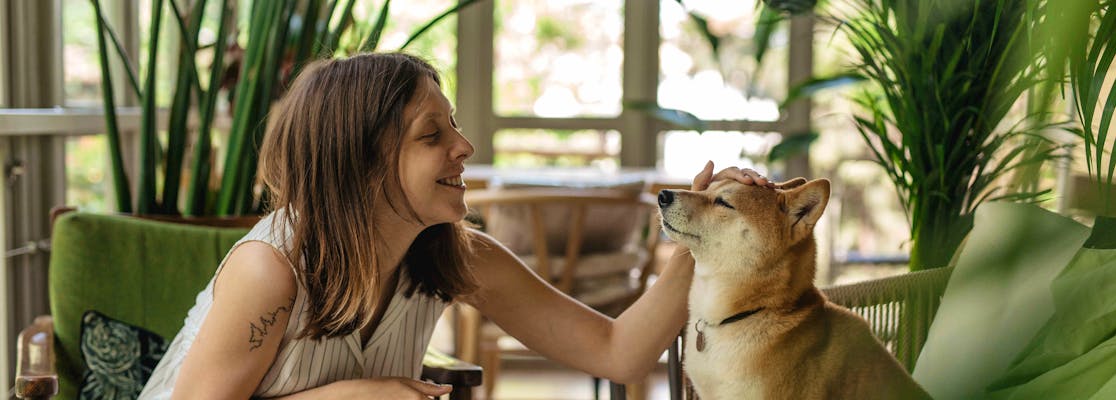 10 Highest Paying Jobs for Animal Lovers